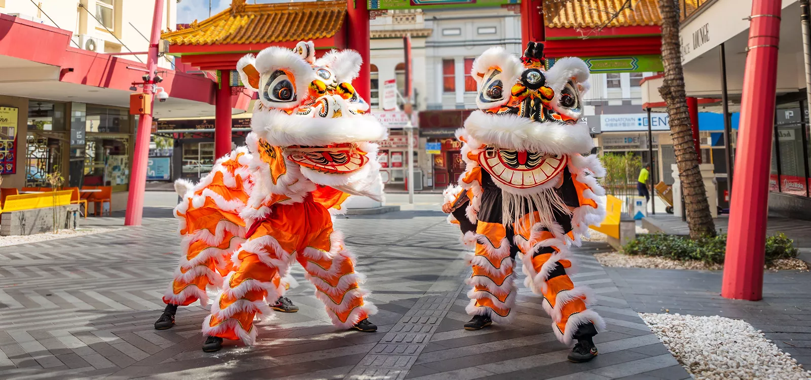 Two traditional Chinese lion dances
