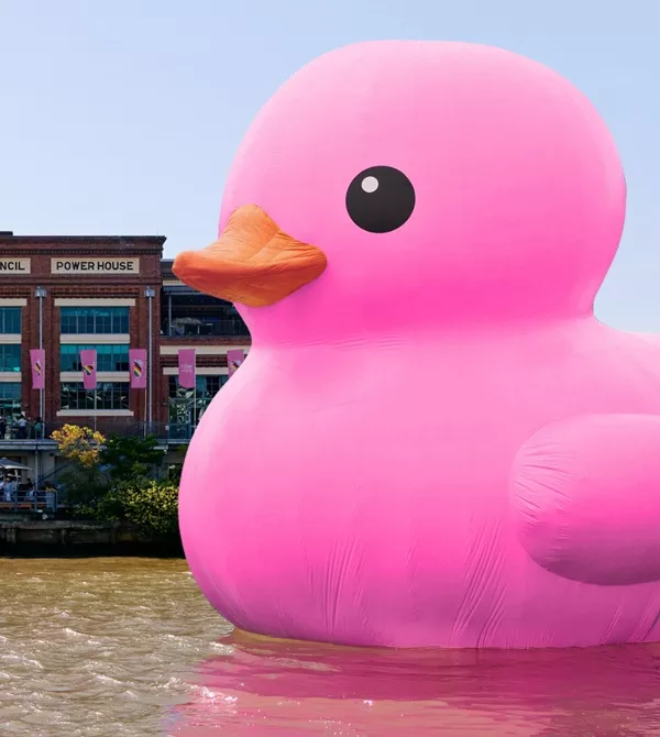 Melt pink rubber duck in river in front of the Powerhouse