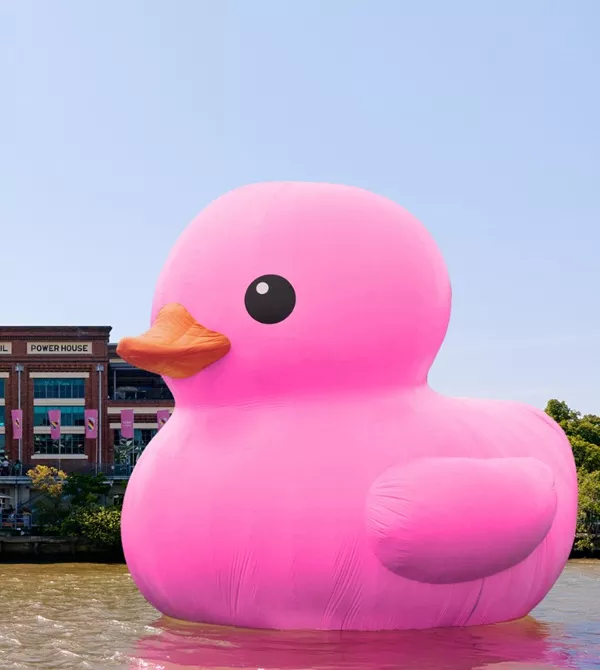 large pink rubber duck on brisbane river infront of the Powerhouse