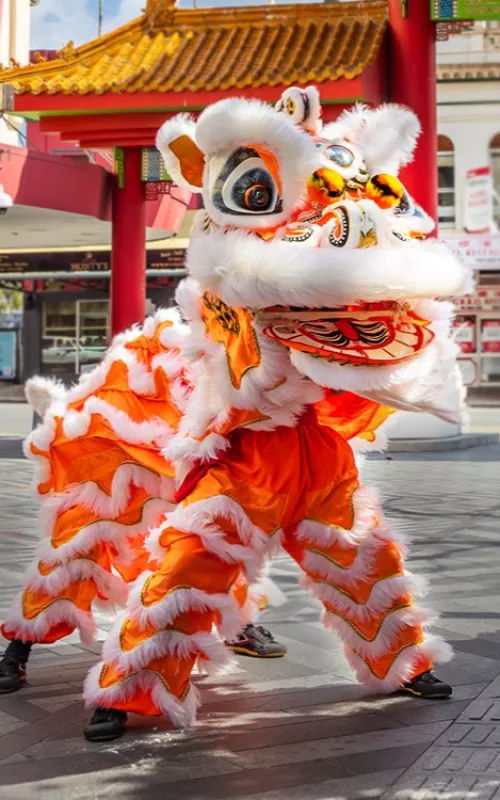 2 traditional Chinese lion dances