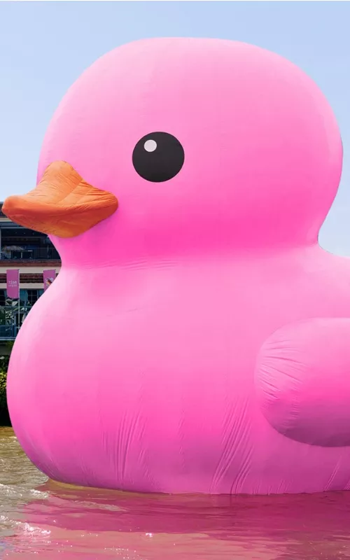 Melt pink rubber duck in river in front of the Powerhouse