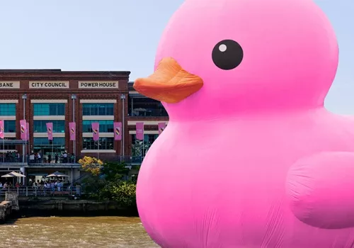 Melt pink rubber duck in river in front of the Powerhouse