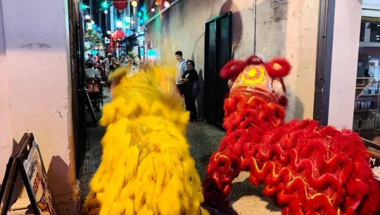 Lion dance